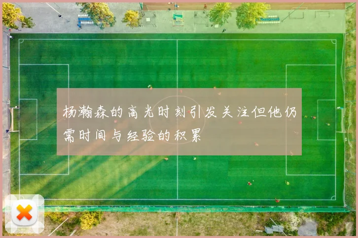 杨瀚森的高光时刻引发关注但他仍需时间与经验的积累