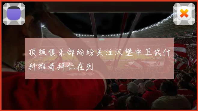 顶级俱乐部纷纷关注汉堡中卫武什科维奇拜仁在列