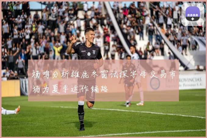 杨鸣分析雄鹿冬窗试探字母交易市场为夏季运作铺路