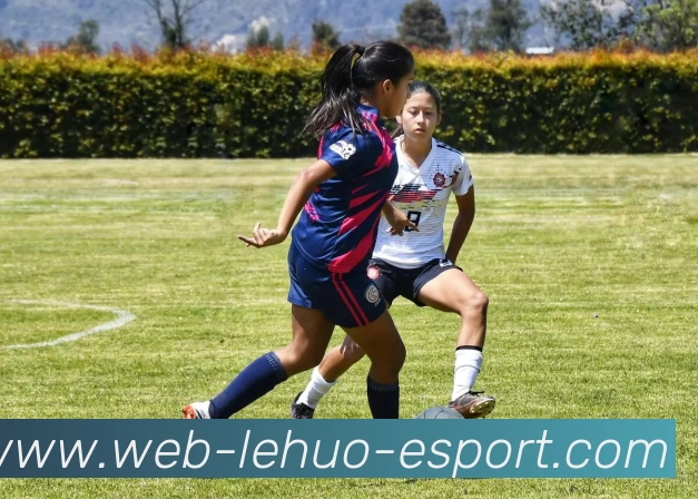 雷火电竞平台生态图